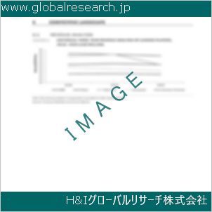 グローバルリサーチ調査資料のイメージ